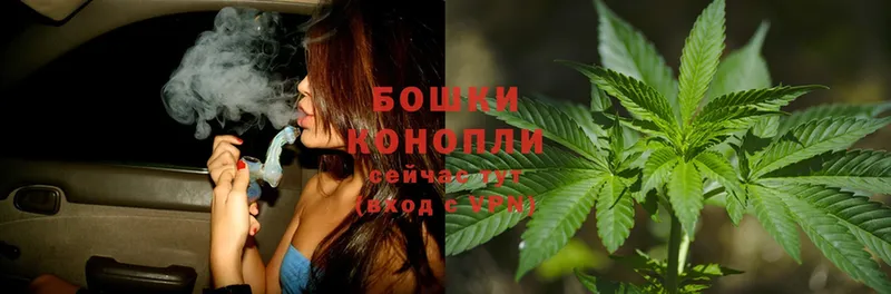 купить наркоту  Арсеньев  Шишки марихуана THC 21% 